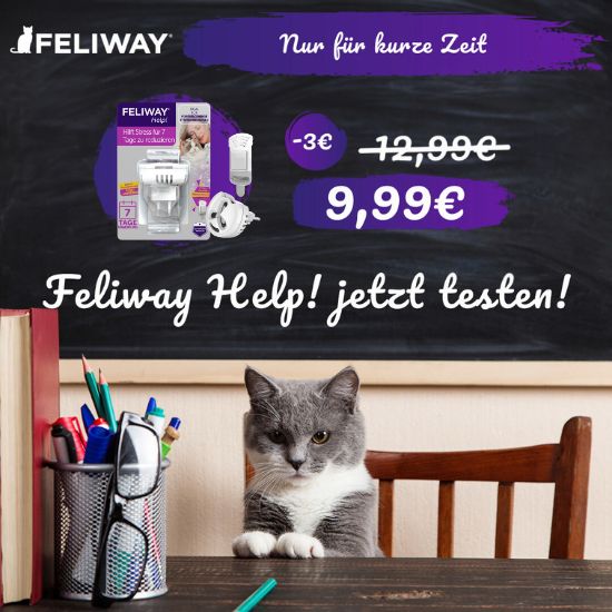 FELIWAY Help!